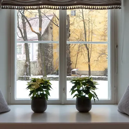 Exclusive Charm Of The Old Tallin