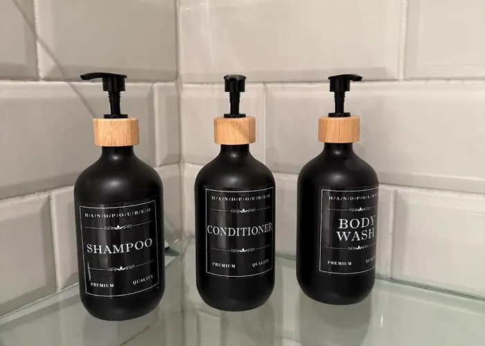 Exclusive Charm Of The Old Tallinn