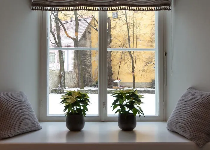 Exclusive Charm Of The Old Tallinn